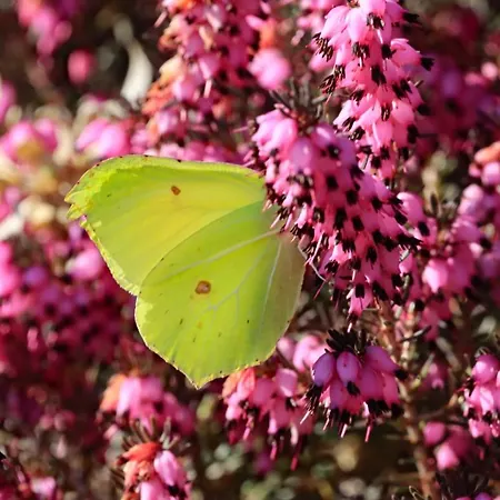 Haus Der Behaglichkeit Semesterbostad *