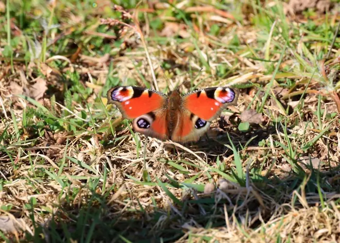 Haus Der Behaglichkeit Casa de Férias Erlenbach (Rhineland-Palatinate)