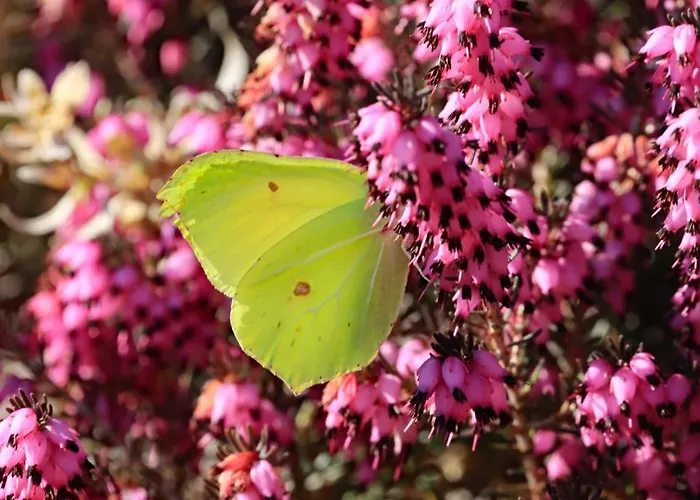 Haus Der Behaglichkeit Casa de Férias *