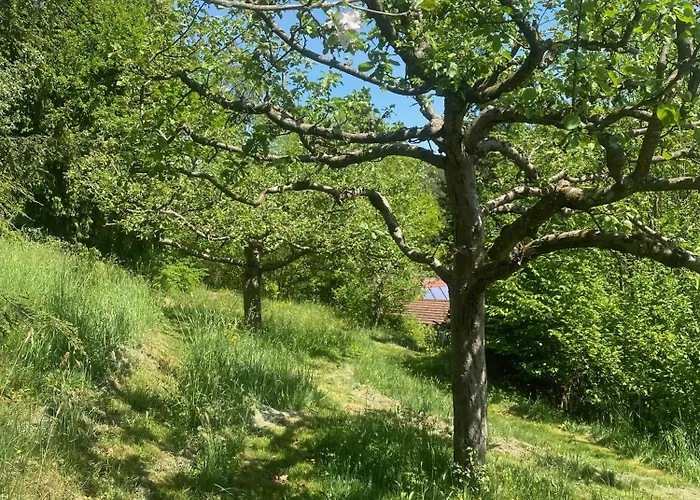 Haus Der Behaglichkeit Casa de Férias Erlenbach (Rhineland-Palatinate)