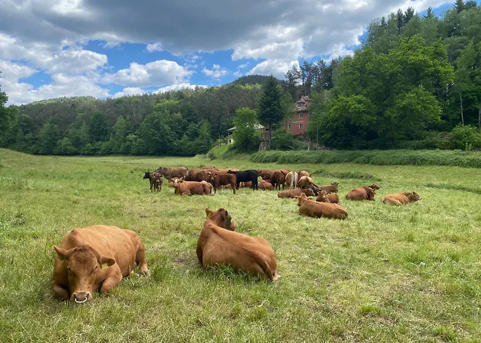 Haus Der Behaglichkeit