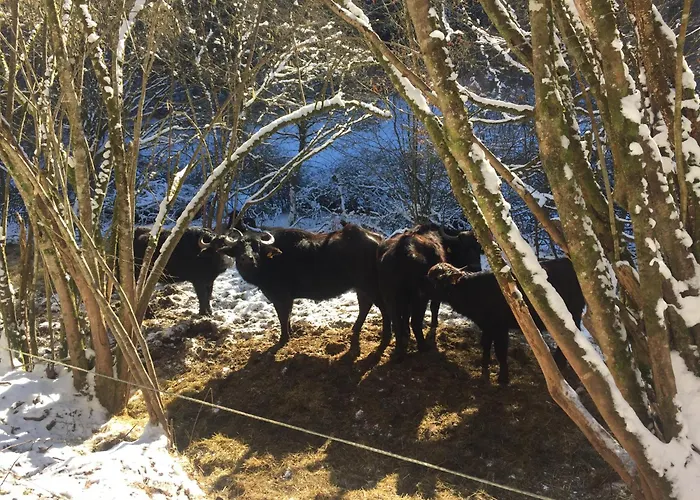 Haus Der Behaglichkeit *